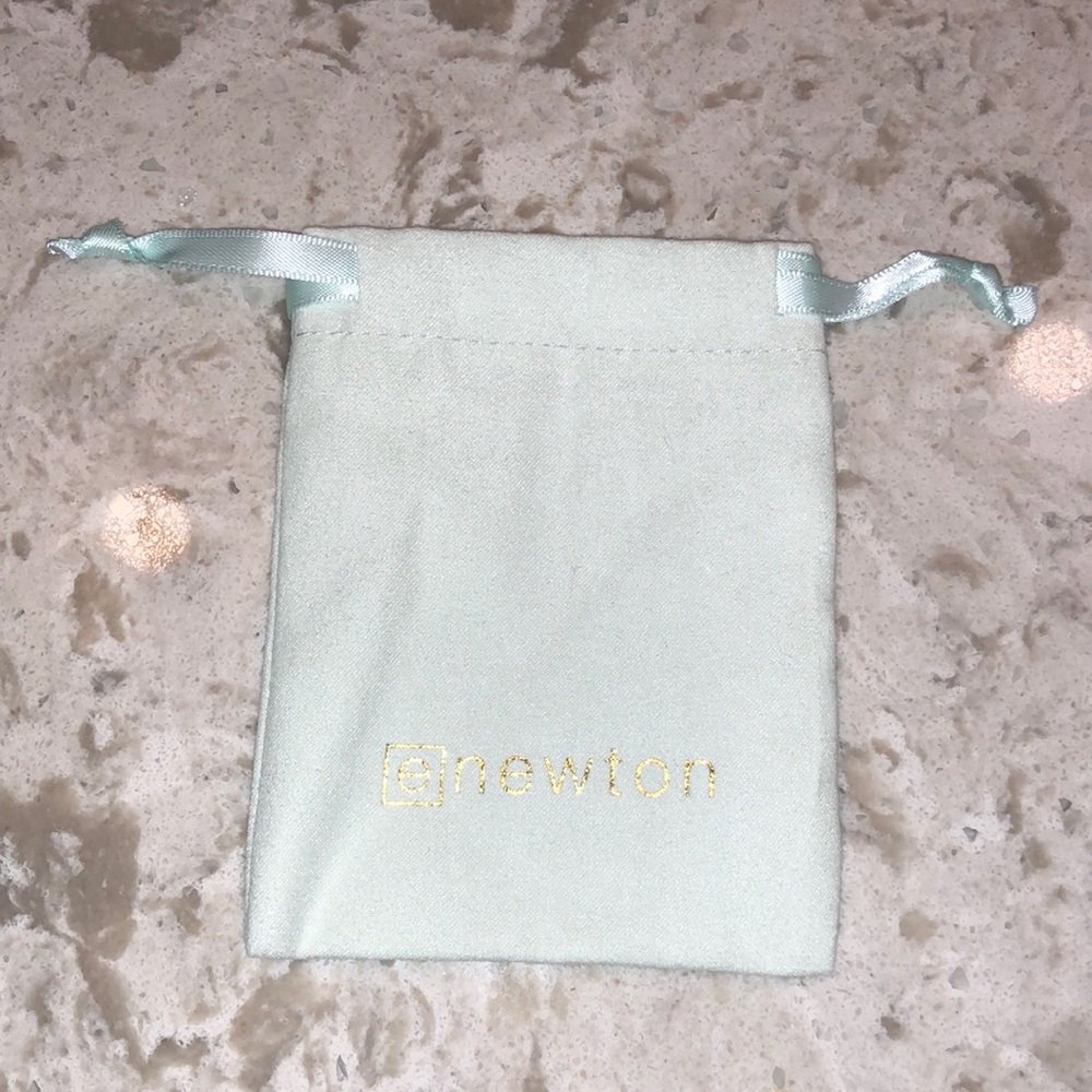 Brand New ENewton gift bag